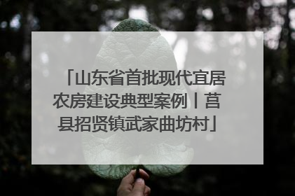 山东省首批现代宜居农房建设典型案例丨莒县招贤镇武家曲坊村