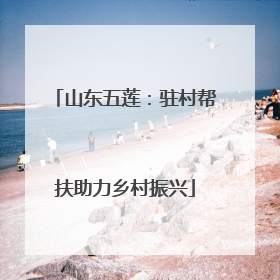 山东五莲：驻村帮扶助力乡村振兴