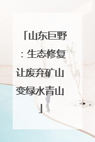 山东巨野：生态修复让废弃矿山变绿水青山