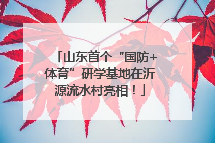 山东首个“国防+体育”研学基地在沂源流水村亮相！
