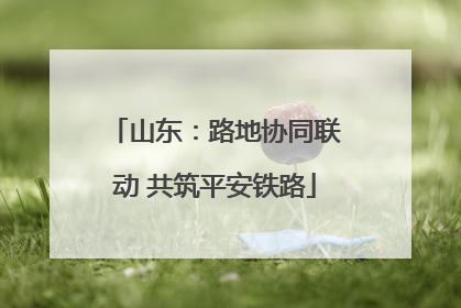 山东：路地协同联动 共筑平安铁路