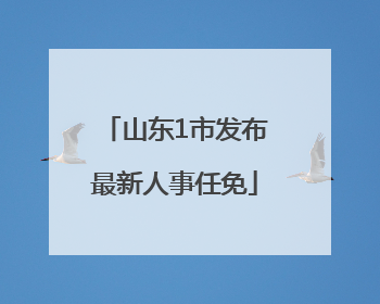山东1市发布最新人事任免