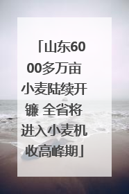 山东6000多万亩小麦陆续开镰 全省将进入小麦机收高峰期