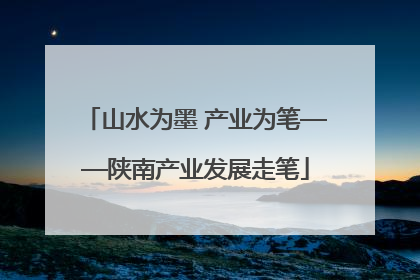 山水为墨 产业为笔——陕南产业发展走笔