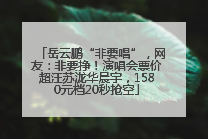岳云鹏“非要唱”，网友：非要挣！演唱会票价超汪苏泷华晨宇，1580元档20秒抢空