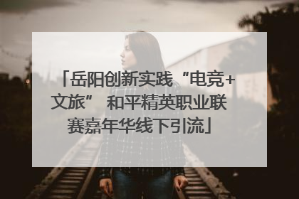 岳阳创新实践“电竞+文旅” 和平精英职业联赛嘉年华线下引流