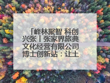 峰林聚智 科创兴张丨张家界旅典文化经营有限公司博士创新站：让土家织锦“智”造出非遗新传奇