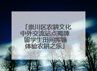 崇川区农耕文化中外交流站点揭牌 留学生田间挥镰体验农耕之乐