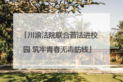 川渝法院联合普法进校园 筑牢青春无毒防线