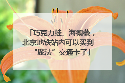 巧克力蛙、海德薇，北京地铁站内可以买到“魔法”交通卡了