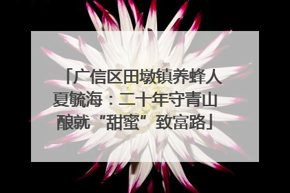 广信区田墩镇养蜂人夏毓海：二十年守青山酿就“甜蜜”致富路