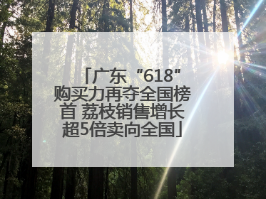 广东“618”购买力再夺全国榜首 荔枝销售增长超5倍卖向全国