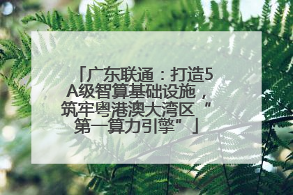 广东联通：打造5A级智算基础设施，筑牢粤港澳大湾区“第一算力引擎”