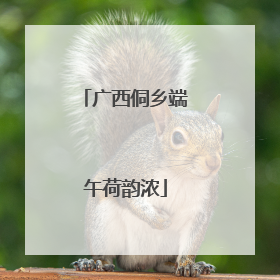 广西侗乡端午荷韵浓