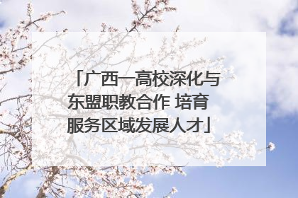广西一高校深化与东盟职教合作 培育服务区域发展人才