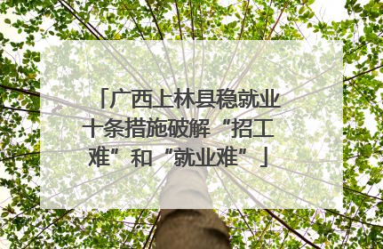 广西上林县稳就业十条措施破解“招工难”和“就业难”