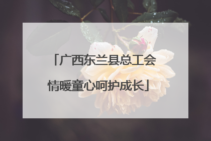 广西东兰县总工会情暖童心呵护成长