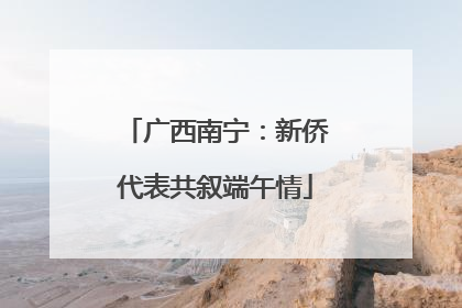 广西南宁：新侨代表共叙端午情