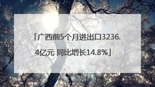 广西前5个月进出口3236.4亿元 同比增长14.8%