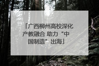 广西柳州高校深化产教融合 助力“中国制造”出海