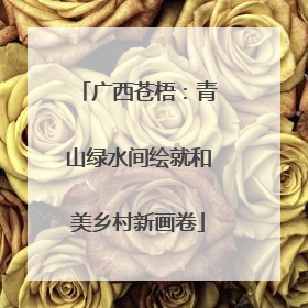 广西苍梧：青山绿水间绘就和美乡村新画卷