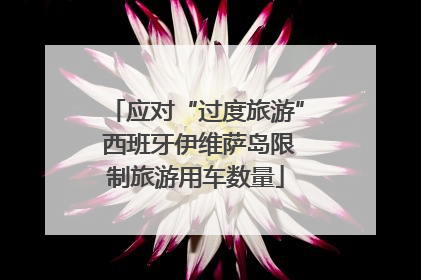 应对“过度旅游” 西班牙伊维萨岛限制旅游用车数量