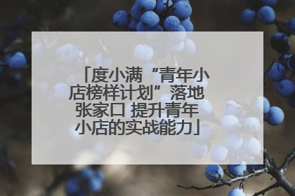 度小满“青年小店榜样计划”落地张家口 提升青年小店的实战能力