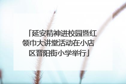 延安精神进校园暨红领巾大讲堂活动在小店区晋阳街小学举行