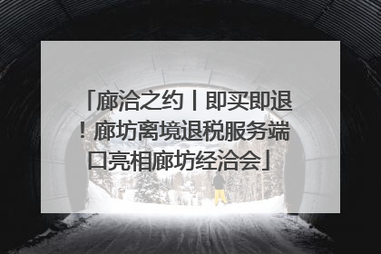 廊洽之约丨即买即退！廊坊离境退税服务端口亮相廊坊经洽会
