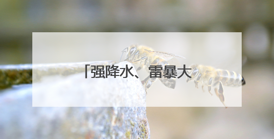 强降水、雷暴大风、冰雹，黑龙江最新发布！