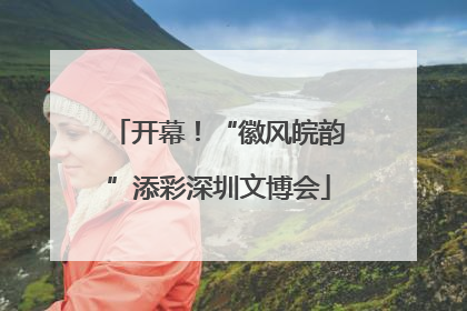 开幕！“徽风皖韵”添彩深圳文博会