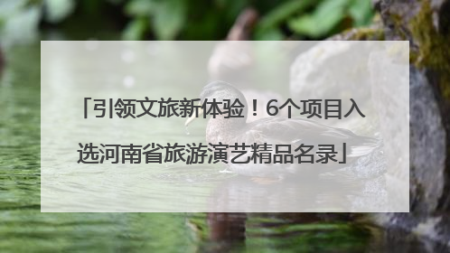 引领文旅新体验！6个项目入选河南省旅游演艺精品名录