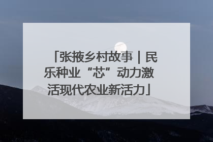 张掖乡村故事｜民乐种业“芯”动力激活现代农业新活力