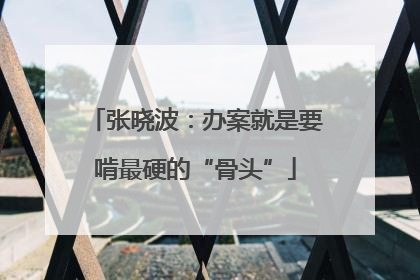 张晓波：办案就是要啃最硬的“骨头”