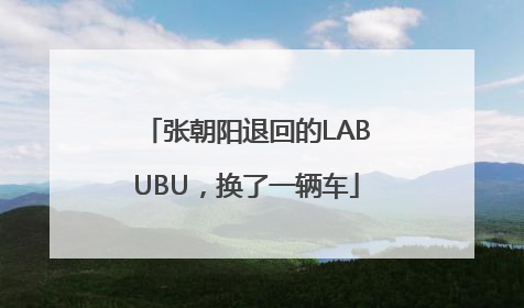 张朝阳退回的LABUBU，换了一辆车