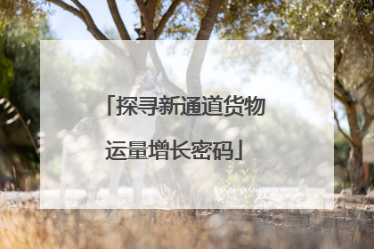 探寻新通道货物运量增长密码