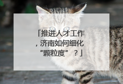 推进人才工作，济南如何细化“颗粒度”？