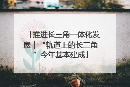 推进长三角一体化发展｜“轨道上的长三角”今年基本建成
