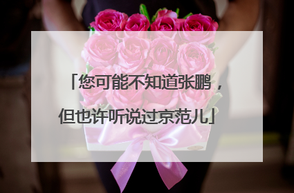 您可能不知道张鹏，但也许听说过京范儿