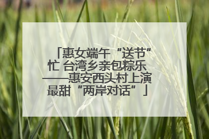 惠女端午“送节”忙 台湾乡亲包粽乐——惠安西头村上演最甜“两岸对话”