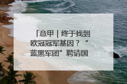 意甲｜终于找到欧冠冠军基因？“蓝黑军团”聘请国米名宿齐沃执教