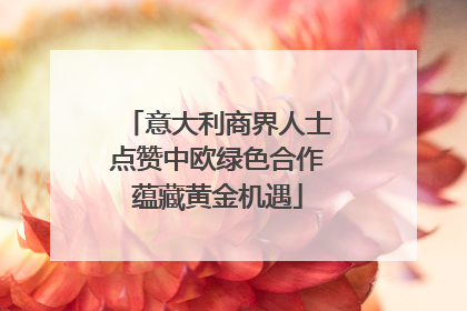 意大利商界人士点赞中欧绿色合作蕴藏黄金机遇