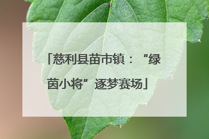 慈利县苗市镇：“绿茵小将”逐梦赛场