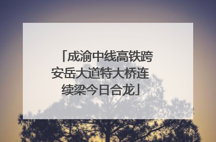 成渝中线高铁跨安岳大道特大桥连续梁今日合龙