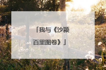 我与《沙颍百里图卷》