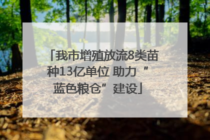 我市增殖放流8类苗种13亿单位 助力“蓝色粮仓”建设