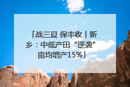 战三夏 保丰收丨新乡：中低产田“逆袭” 亩均增产15%