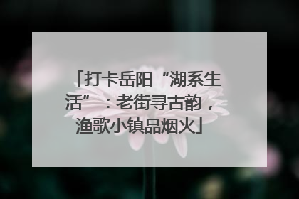 打卡岳阳“湖系生活”：老街寻古韵，渔歌小镇品烟火