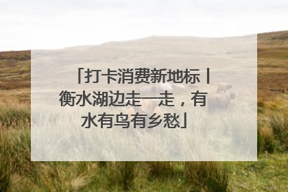 打卡消费新地标丨衡水湖边走一走，有水有鸟有乡愁