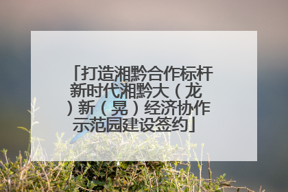 打造湘黔合作标杆 新时代湘黔大（龙）新（晃）经济协作示范园建设签约